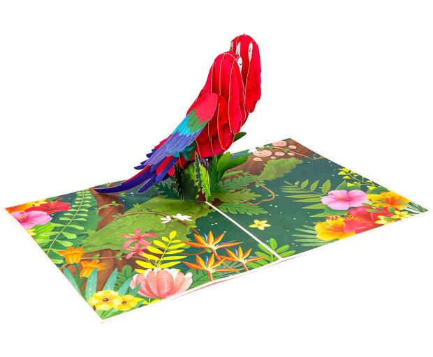 Parrot Love Birds Pop Up Card